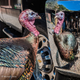Illustration for article titled Wildlife Photo Contest Shows Nature Can Be Cruel—But Also Kind